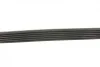 Ремень генератора Citroen C3/C4/Peugeot 208/308 1.0/1.2 12- (6PK848) BOSCH 1 987 946 155 (фото 7)