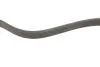 Ремень генератора Ford Focus II/C-Max/Volvo C30/S40 II/V50 1.8/2.0 04-12 (6PK1249) BOSCH 1987946173 (фото 3)