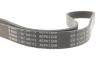 Ремінь генератора Ford Focus II/C-Max/Volvo C30/S40 II/V50 1.8/2.0 04-12 (6PK1249) BOSCH 1987946173 (фото 4)