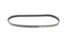 Ремень генератора Ford Focus 1.4/1.6i 03- (6PK1059+5PK868) К-кт BOSCH 1 987 946 196 (фото 12)