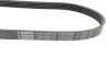 Ремень генератора Ford Focus 1.4/1.6i 03- (6PK1059+5PK868) К-кт BOSCH 1 987 946 196 (фото 3)