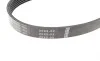 Ремень генератора Ford Focus 1.4/1.6i 03- (6PK1059+5PK868) К-кт BOSCH 1 987 946 196 (фото 8)