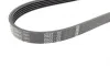 Ремень генератора Ford Fiesta/Focus 1.4LPG/1.6Ti 08- (6PK1019) BOSCH 1 987 946 197 (фото 3)