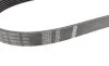 Ремень генератора Ford Transit 2.2TDCi 06-18 (6PK873) BOSCH 1 987 946 199 (фото 3)