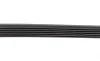 Ремень генератора Ford Transit 2.2TDCi 06-18 (6PK873) BOSCH 1 987 946 199 (фото 4)