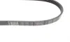 Ремень генератора Ford Transit 2.2TDCi 06-18 (6PK873) BOSCH 1 987 946 199 (фото 7)