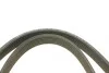 Ремень генератора VW Bora/Golf/T5 (6DPK1195) BOSCH 1 987 946 200 (фото 2)