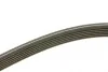 Ремень генератора VW Bora/Golf/T5 (6DPK1195) BOSCH 1 987 946 200 (фото 3)
