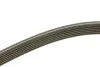 Ремень генератора VW Bora/Golf/T5 (6DPK1195) BOSCH 1 987 946 200 (фото 6)
