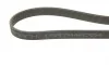 Ремінь генератора VW Golf/Passat 2.8 91-99 (7PK1360) BOSCH 1 987 946 204 (фото 4)