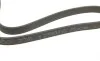 Ремінь генератора VW Golf/Passat 2.8 91-99 (7PK1360) BOSCH 1 987 946 204 (фото 5)