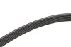 Ремінь генератора VW T5 3.2 V6 03-09/Sharan/Ford Galaxy 2.8 V6 00-10 (6PK1325) BOSCH 1987946206 (фото 3)