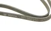 Ремінь генератора VW T5 1.9TDI/VW Caddy 1.9/2.0TDI (+AC) (6PK1215) BOSCH 1 987 946 210 (фото 4)