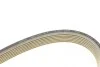 Ремінь генератора BMW X5 (E70)/X6 (E71/E72) 09-14 (7DPK1884) BOSCH 1 987 946 213 (фото 2)