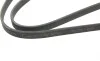 Ремень генератора BMW 1 (E81/E87)/3 (E90) 2.0/3.0d 06-12 (N47) (6PK1698) BOSCH 1 987 946 215 (фото 5)