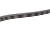 Ремінь генератора Honda Civic 1.3 Hybrid 06- (4PK1600) BOSCH 1 987 946 234 (фото 5)