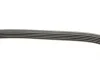 Ремень генератора MB A-Class 1.6/1.8/2.0 CDI 04-12 (5PK1310) BOSCH 1 987 946 235 (фото 3)