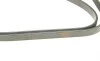 Ремінь генератора Opel Zafira 1.6 05-15/ Suzuki Baleno1.8i 96-02/ Grand Vitara2.0 98-15 (5PK1545) BOSCH 1 987 946 236 (фото 4)