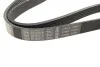 Ремень генератора VW Caddy III/Golf III/Passat/T4 1.9D/TD (TP) (6PK1050) BOSCH 1 987 946 240 (фото 7)