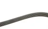 Ремінь генератора Audi A4/A6/A8/Q7 2.7/3.0TDI 04- (6PK2490) BOSCH 1 987 946 246 (фото 2)