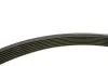 Ремінь генератора Renault Clio III/Modus/Twingo 1.2 05-/BMW 7 (E38) 5.4 94-01 (7PK1035) BOSCH 1 987 946 248 (фото 4)
