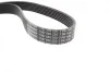 Ремінь генератора BMW 3 (E90) 2.0i 07-13/Opel Movano/Renault Master 2.2/2.5DTI/dCi 00- (7PK1105) BOSCH 1 987 946 250 (фото 7)