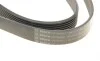 Ремень генератора VW Touareg 3.0 Hybrid 10-18/Audi A4/A6/A7/Q5/Q7 3.0TFSI 08-17 (7PK1275) BOSCH 1 987 946 251 (фото 6)