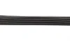 Ремень генератора Toyota Avensis 2.0 D-4D 08-18/BMW 7 (F01-F04) (N63) 10-12 (7PK1370) BOSCH 1 987 946 252 (фото 4)