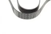 Ремень генератора Toyota Avensis 2.0 D-4D 08-18/BMW 7 (F01-F04) (N63) 10-12 (7PK1370) BOSCH 1 987 946 252 (фото 7)