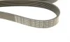 Ремінь генератора BMW 7 (E65/E66/E67) 4.0/4.5D 02-08/Honda Accord 2.0 03-08 (7PK1760) BOSCH 1 987 946 255 (фото 5)