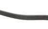 Ремень генератора Renault Master/Opel Movano 2.5 dCi 03- (+AC) (7PK1793) BOSCH 1 987 946 257 (фото 3)