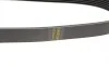 Ремень генератора Renault Clio 1.2 16V 05-14 (7PK880) BOSCH 1 987 946 264 (фото 2)