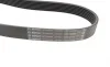 Ремень генератора Renault Clio 1.2 16V 05-14 (7PK880) BOSCH 1 987 946 264 (фото 3)