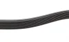 Ремень генератора Renault Clio 1.2 16V 05-14 (7PK880) BOSCH 1 987 946 264 (фото 4)