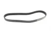 Ремень генератора Renault Clio 1.2 16V 05-14 (7PK880) BOSCH 1 987 946 264 (фото 5)