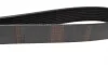 Ремінь генератора Mazda 3/5/6 2.0 DI/CD 02-10 (8PK1225) BOSCH 1 987 946 266 (фото 2)