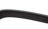 Ремінь генератора Mazda 3/5/6 2.0 DI/CD 02-10 (8PK1225) BOSCH 1 987 946 266 (фото 4)