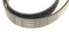 Ремень генератора Land Rover Range Rover Sport 05-13/Discovery 2.7D 04- (8PK2093) BOSCH 1 987 946 268 (фото 8)