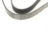 Ремень генератора Honda Accord/Civic/CR-V 1.8/2.0 05- (7PK1535) BOSCH 1 987 946 272 (фото 5)