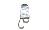 Ремінь генератора Suzuki Grand Vitara 2.5 98-03/Kia Carens 1.8 97-04/Lexus IS 200 2.0 99-05(4PK1080) BOSCH 1 987 946 274 (фото 1)