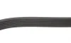 Ремень генератора VW T4 2.5TDI 90-03 (6PK2213) BOSCH 1 987 946 275 (фото 2)