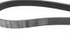 Ремень генератора Peugeot 406 96-04/Citroen C4 Picasso 2.0i 07-13 (6PK1480) BOSCH 1 987 946 276 (фото 3)