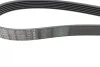 Ремень генератора Peugeot 406 96-04/Citroen C4 Picasso 2.0i 07-13 (6PK1480) BOSCH 1 987 946 276 (фото 7)