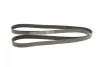 Ремінь генератора Renault Master/Opel Movano 2.3dCi 10-/Chrysler 300C 3.0 V6 CRD 10-12 (7PK2053) BOSCH 1 987 946 283 (фото 7)