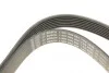 Ремень генератора Audi A8 3.7/4.2 quattro 02-10/VW Phaeton 4.2 V8 4motion 03-16 (7PK2535) BOSCH 1 987 946 284 (фото 5)