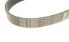 Ремень генератора Ford Transit 2.4 TDCI 00-06 (7PK2710) BOSCH 1 987 946 285 (фото 5)