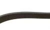 Ремінь генератора Audi A4/A5/A6 2.0TDI 07-15 (6PK1580) BOSCH 1 987 946 294 (фото 4)