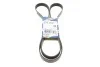 Ремень генератора Ford Connect 1.8 TDCI 02-13 (6PK1720) BOSCH 1 987 946 295 (фото 1)