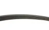 Ремень генератора Ford Connect 1.8 TDCI 02-13 (6PK1720) BOSCH 1 987 946 295 (фото 3)