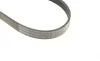Ремень генератора Ford Connect 1.8 TDCI 02-13 (6PK1720) BOSCH 1 987 946 295 (фото 4)